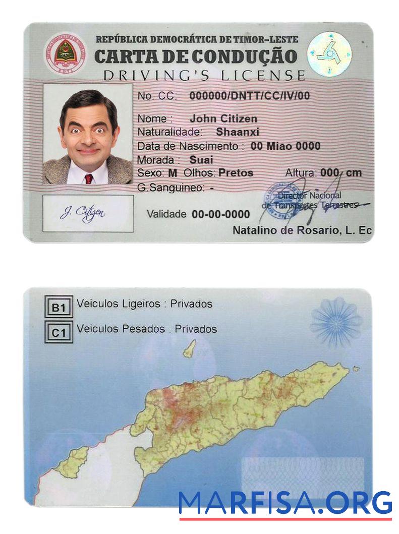 Downloadable Timor Leste driving license template